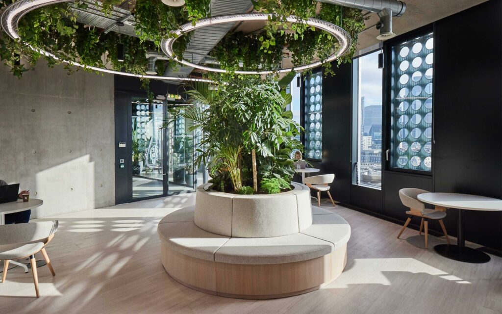 Biophilic office design with natural materials, greenery